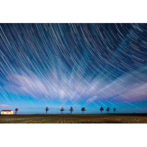 青之世界 七本の木