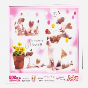 一隻能帶來好運的狗(絕版)