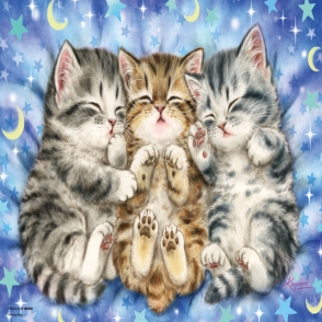 三小貓 原井加代美