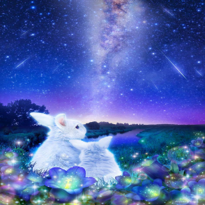  等待星星的兔子(迷你片)