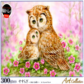 貓頭鷹相依偎 原井加代美(絕版)