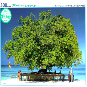 蒙特哥灣(絕版)