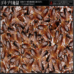 蟑螂地獄(絕版)