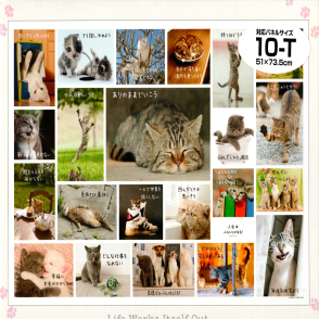 睡個午覺(絕版)