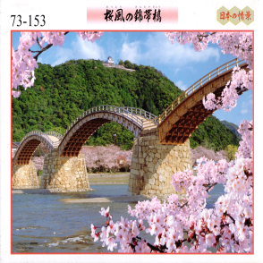 櫻風的錦帶橋(絕版)