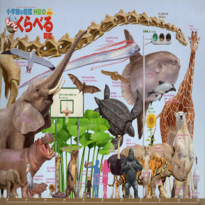 大動物比較百科全書(大拼片)(絕版)