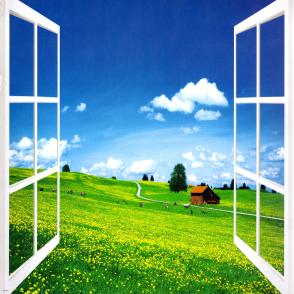 花開的草原(絕版)