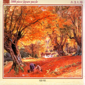 陽光穿透樹林(絕版)