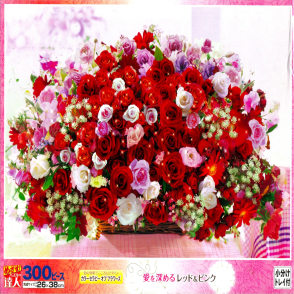 粉色紅色的玫瑰(絕版)