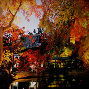 京都 高台寺秋天的傍晚(絕版)