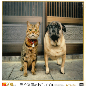 小貓跟小狗(絕版)