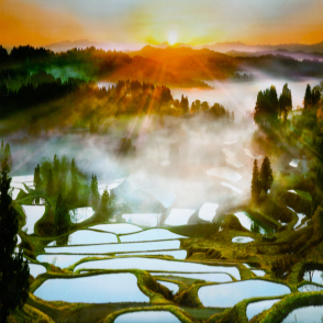 水稻梯田(絕版)