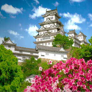 杜鵑花與姬路城 兵庫縣(絕版)