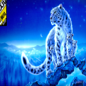 起點(迷你片)(絕版)