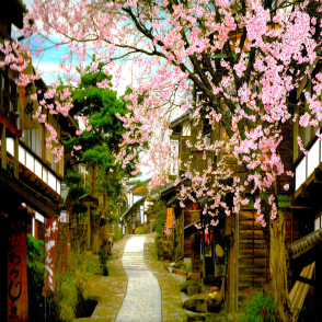 櫻花香馬遼宿 岐阜(迷你片)(絕版)