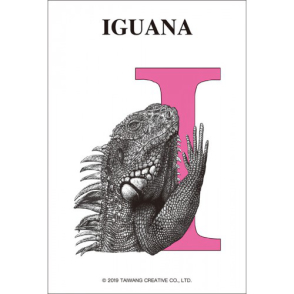 字母系列 鬣蜥(迷你片)