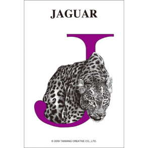 字母系列 美洲豹(迷你片)