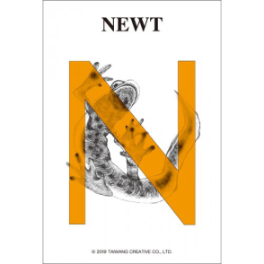 字母系列 蠑螈(迷你片)