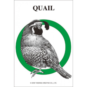 字母系列 鵪鶉(迷你片)