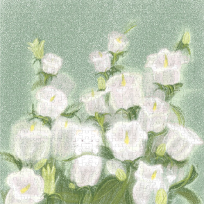 等候春天到來(盒損)