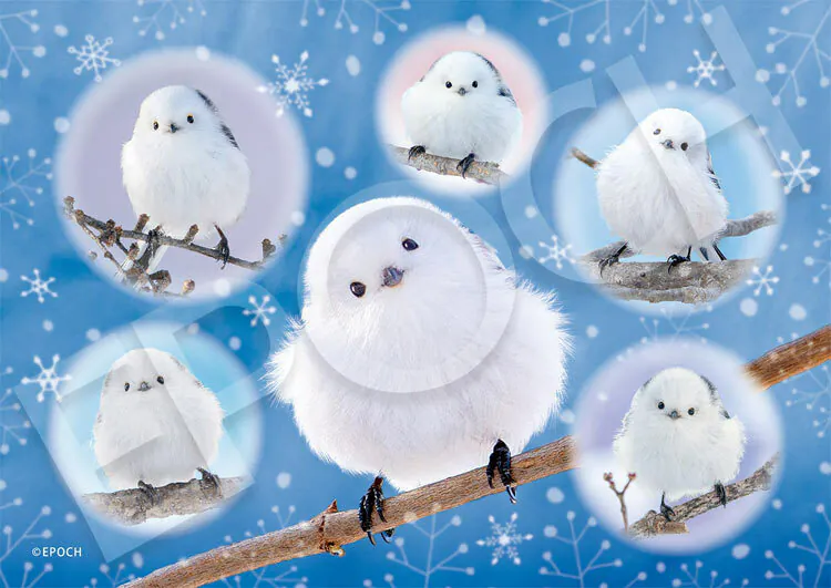 圓滾滾北長尾山雀