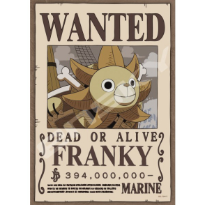 2024版懸賞單 佛朗基 航海王