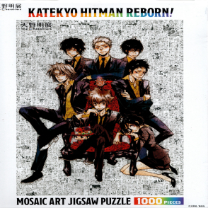 天野明展 家庭教師HITMAN REBORN!馬賽克(絕版)