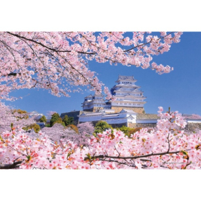 兵庫 層層櫻花下的姬路城