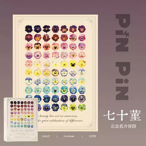 七十堇-正念花卉