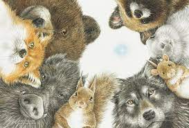 動物們仰望星空