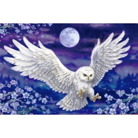 櫻花福龍 原井加代美