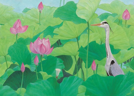 荷花和灰鷺