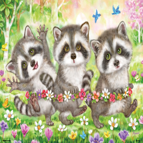 浣熊三兄弟 原井加代美