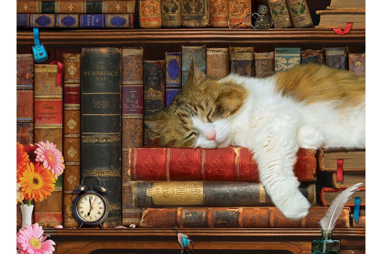 貓小憩(大拼片)