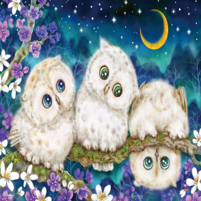 貓頭鷹 能看到什麼呢? 原井加代美