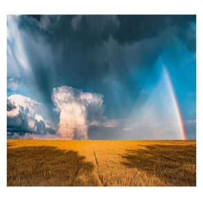 迷霧彩虹(長幅)