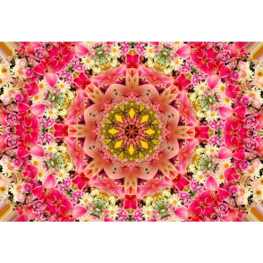 鏡之國度(絕版)(迷你片)