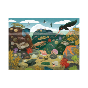 岩石生態(大拼片)