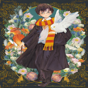 哈利波特-哈利波特系列特別版