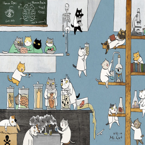 貓小姐 貓奴實驗室