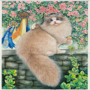  肥宅貓系列 迪桑娜